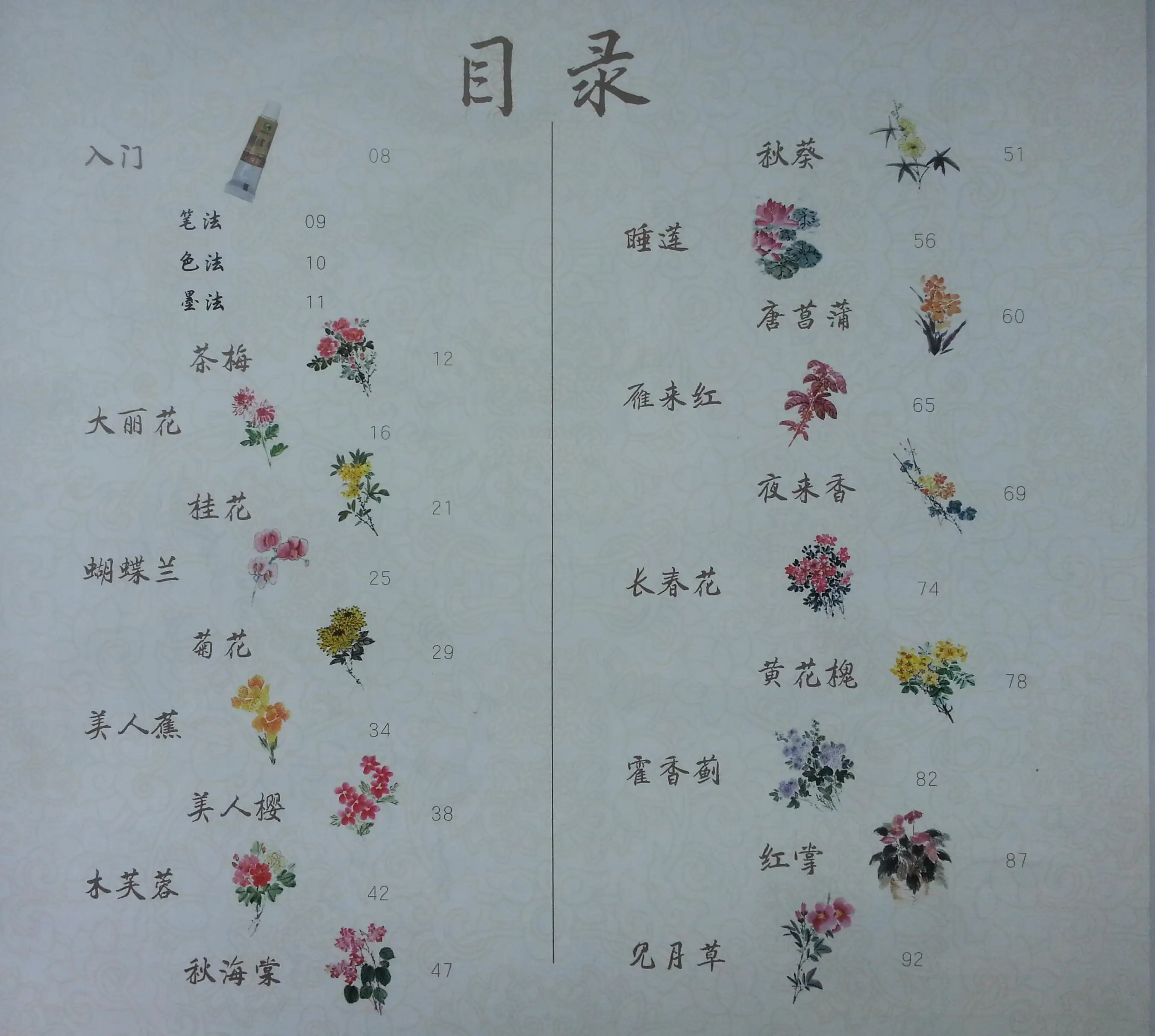 Chinese Culture Painting Learning Book Freehand Artistry Paint Autumn Flowers