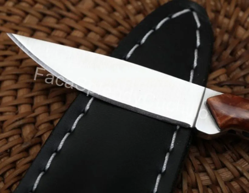 Small Shark Mini Straight Fixed Blade Knife 9Cr18MOV Blade Acrylic Handle Tactical Pocket Hunting EDC Survival Tool Knives