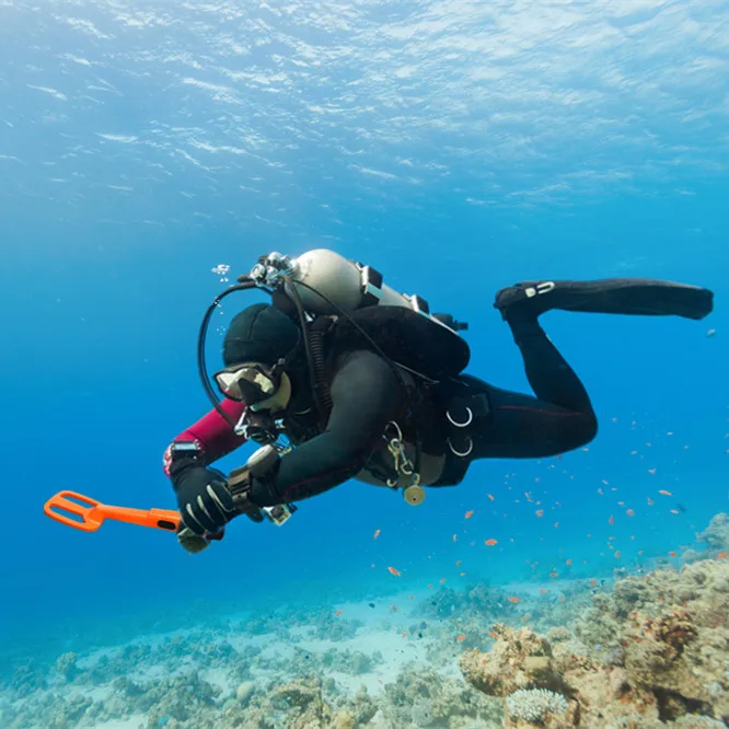 Détecteur de métaux sous-marin étanche, pointeur localisateur de plongée, chasse au trésor, recherche d'or