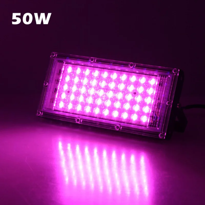 High Quality LED Grow Light Full Spectrum 220V 50W100W Fitolampy For Greenhouse Vegetable Seedling Plant Lighting Free Shipping