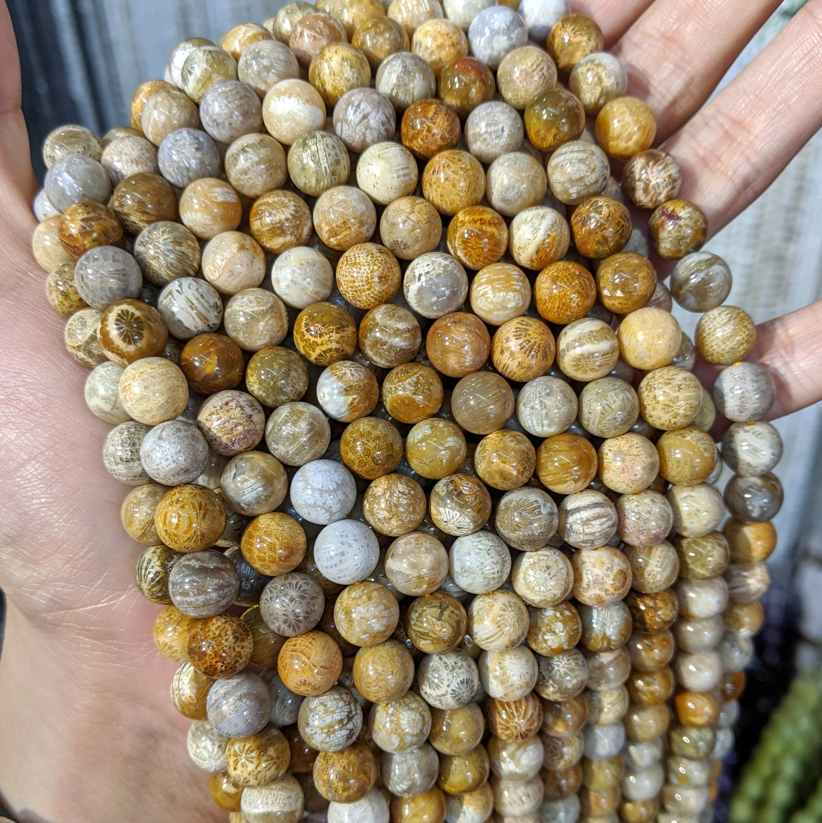 Fossilized Coral Jaspers Natural Stone Beads Loose Round 6/8/10mm Beads Strand Coral Jaspers Gem Stone A Quality