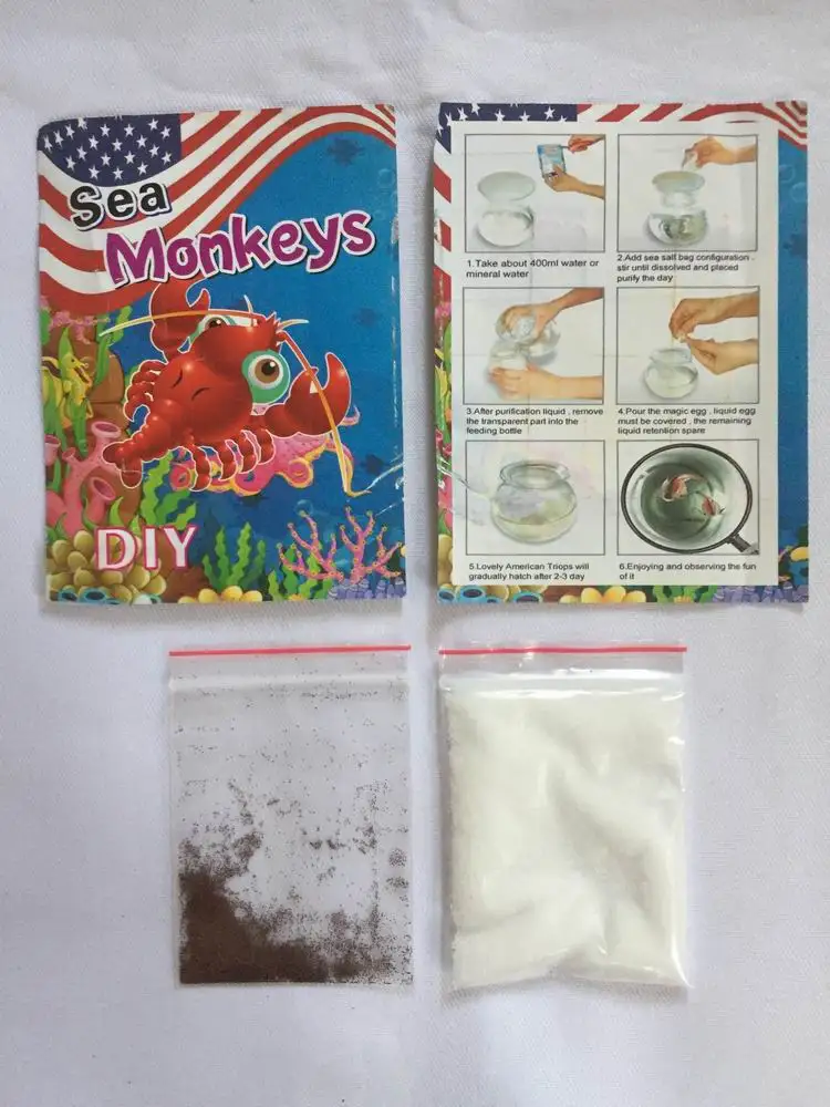 2022 15 mm L Jajka małpy morskiej z zestawem akwariowym Aquario Magic Living Animals Fairy Soline Shrimp Artemia Salina KID TOY