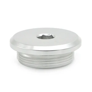 Motorradkurbelwelle Zugang Kurbelkurbel, Magnet Deckelstecker Suzuki DR250 350 650 DRZ400 GSX1300R GW250 09259-36016-20H 6 Hauptverkäufe Moer GE250 - №4