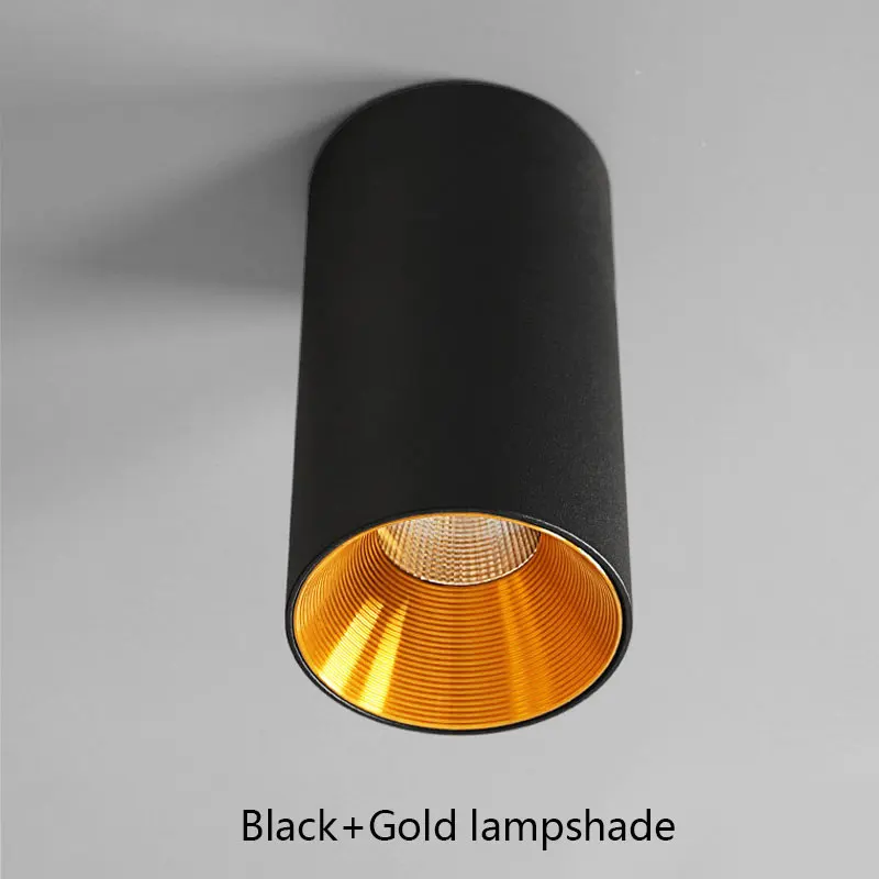 Anti-glare LED Downlights Foyer/Balcony/Corridor/Bedroom/Restaurant Home decoration Dimmable 10W Cylinder Spot light Downlight