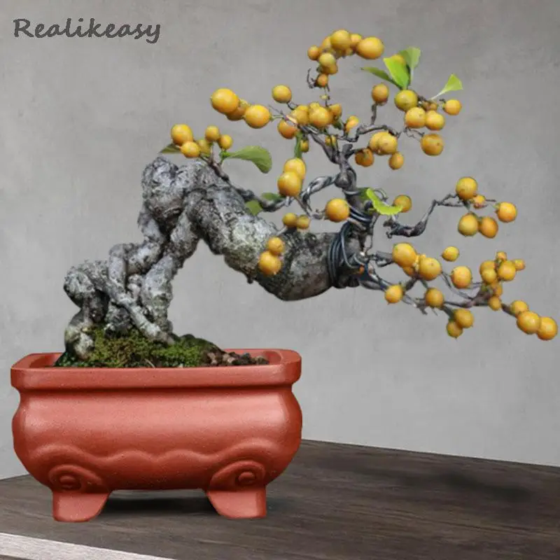 Solid Color Purple Clay Flower Pot Retro Small Bonsai Flower Simple Succulent Flower Potted Plant  For Home Office Decor LB554