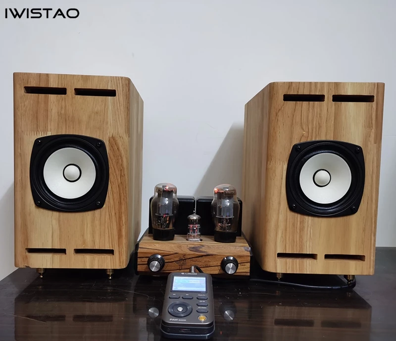 IWistao-Armário Vazio De Madeira Maciça, Amplificador De Tubo Personalizado, Classic FOSTEX SOLO103, 3/4 "Buraco, 1 Par