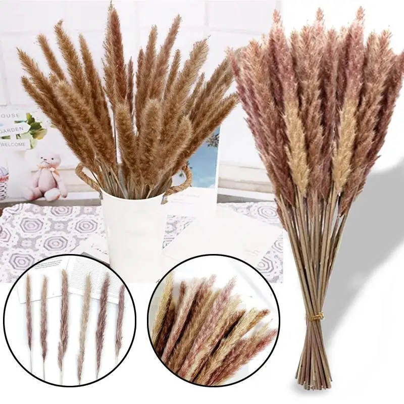 

30pcs Dekoration Lagurus Ovatus Pampas Grass Dry Flowers Natural Reed Phragmites Bunch Communis Decoration Horsetail Whisk