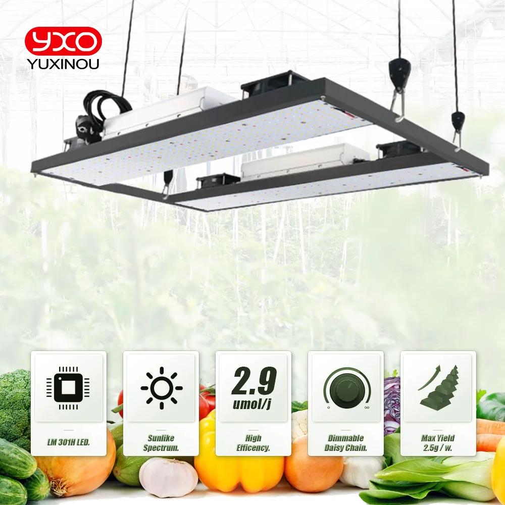 Imagem -03 - Sam-ng-full Spectrum Led Grow Lights Lm301h 240w 480w 720w Cresça a Luz para Vegetais de Interior Flor Mudas