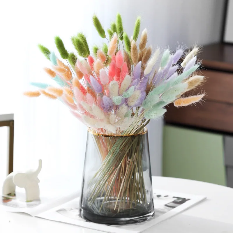 30PCS Lagurus Ovatus Natural Pampas Grass Dried Flower Rabbit Tail Bouquet  Wedding Decoration Herbe  Home Decor Dekoration