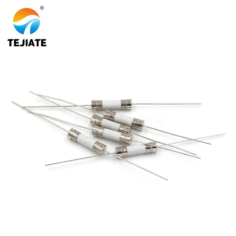 10PCS Ceramic Fuse With Pin 8/10/12/15/20/25/30A 250V 5*20MM Pin Blow Fuse With legs