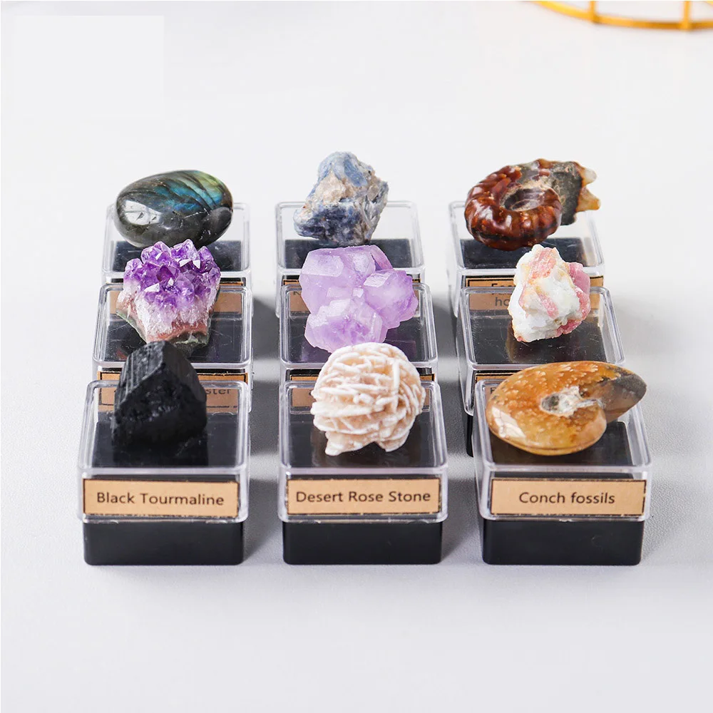 1Pc Natural Crystal Raw stone Ore Amethyst Cluster Energy Box  Specimen Collection For Children's Teaching Gifts