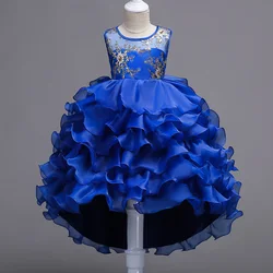 Embroidery Baby Girls Princess Flower Wedding Christmas Party Tutu Dress Children Kids Elegant Vestidos for 3-15Years Teenager