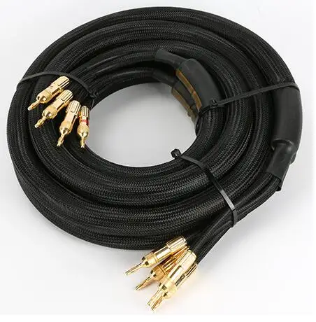 Choseal LA-5101 6N OCC Audiophile HIFI Speaker Cable 24K gold-plated banana plug Top level Speaker Cable 2.5m