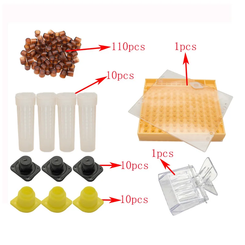 Complete Queen Rearing System Kit King Cultivating Box Plastic Bee Bees Cells Cell Cups Cupkit Cage Beekeeping Tools Supplier