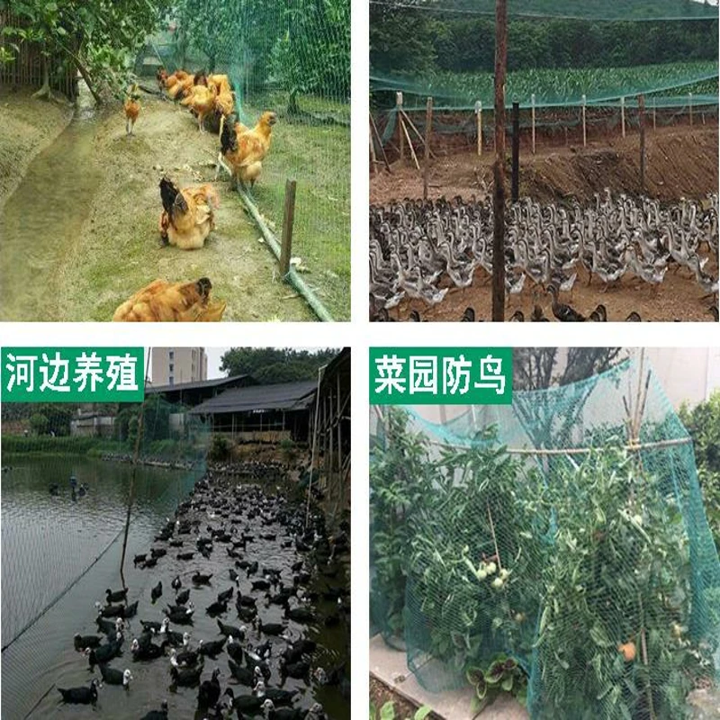 6 12 18 Strand Strong fence net Pet protection net Garden protection net Chicken and duck breeding net Cat net Bird net