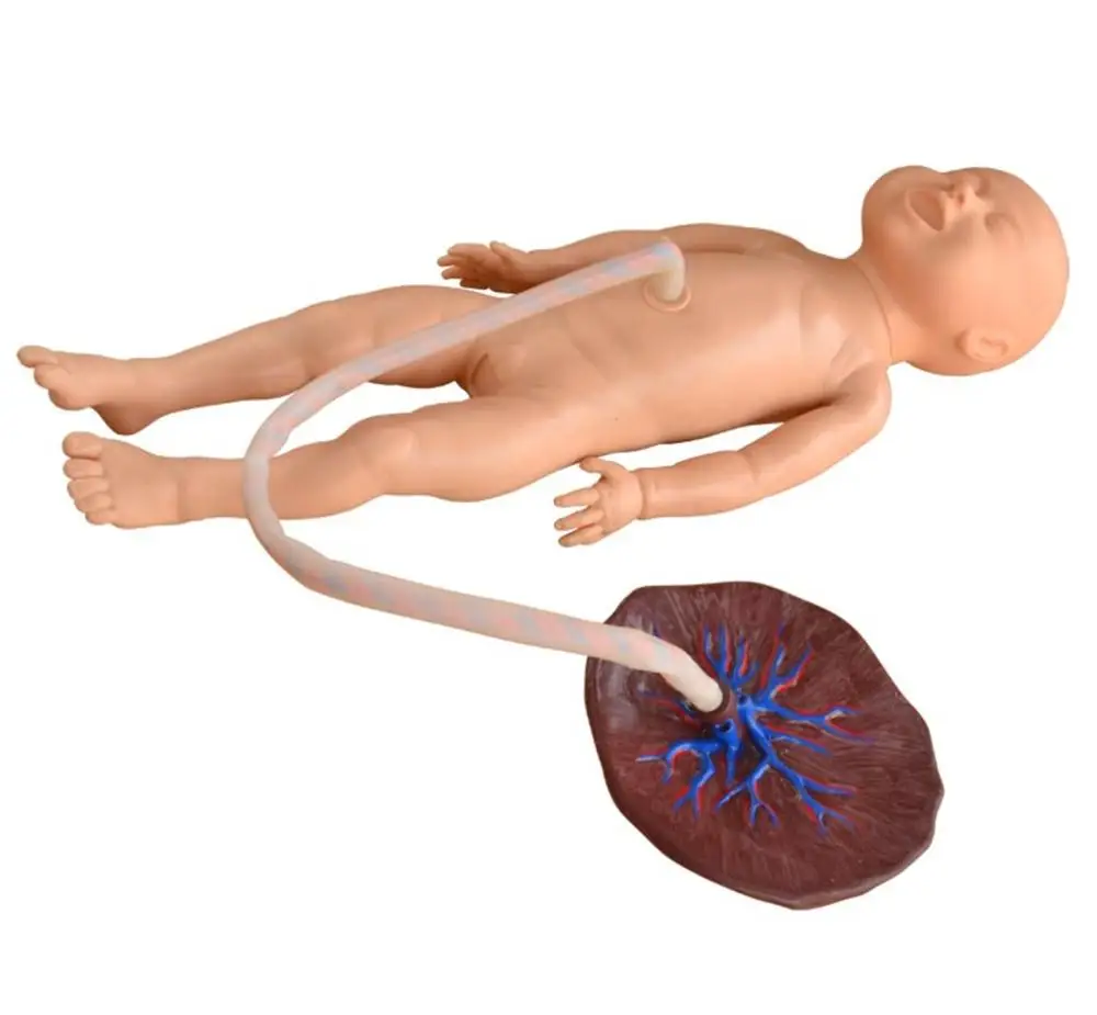 

Medical teaching manikin Advanced Neonatal Umbilical Cord Training Simulator Nursing skills