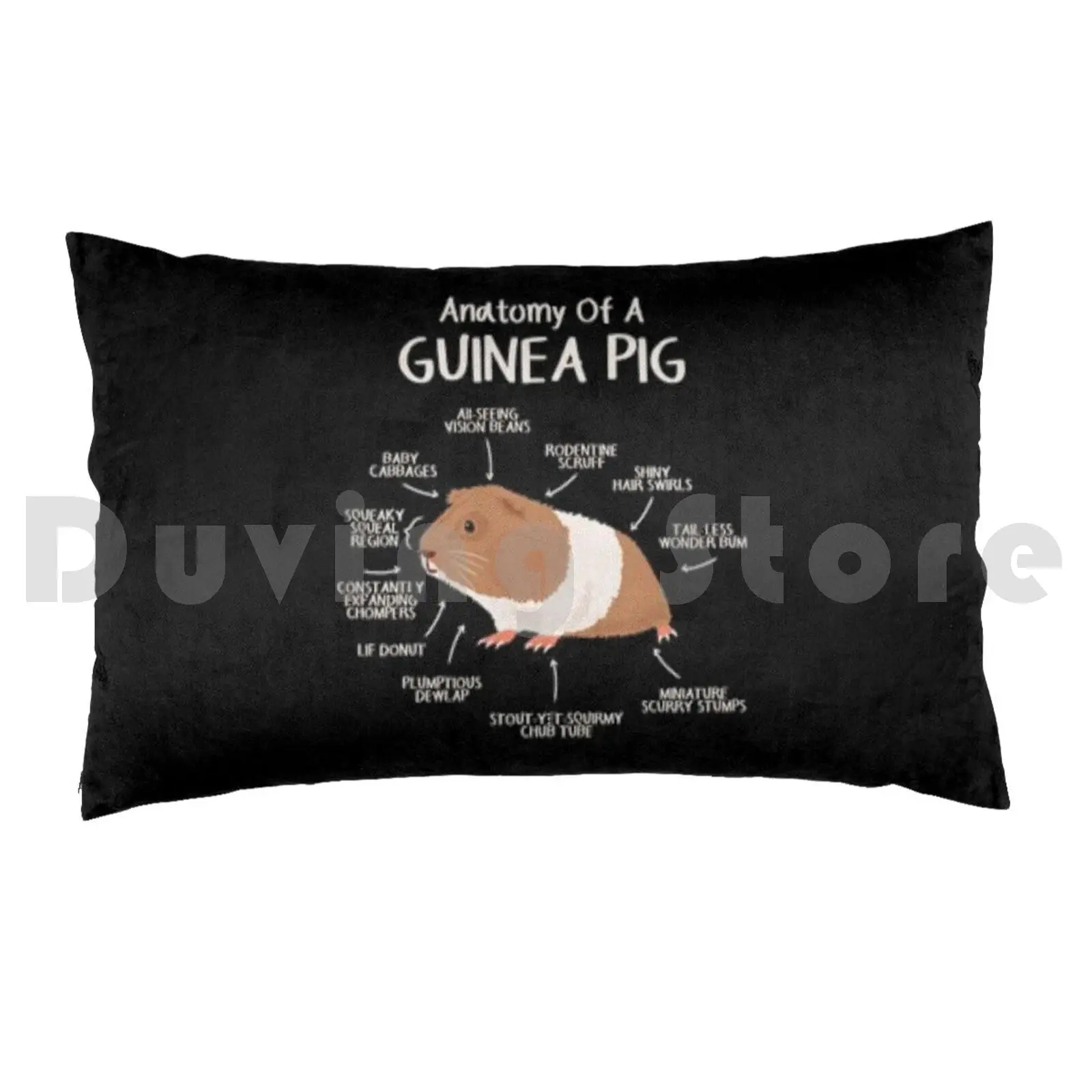 The Anatomy Of A Guinea PigPillow case Anatomy Animal Pet Gerbil Guinea Hamster Biology The