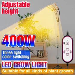 Lámpara Phyto de 12V, luz Led para crecimiento de plantas, Bombilla hidropónica de espectro completo, tienda de cultivo, lámpara de invernadero de 100W, 200W, 300W y 400W