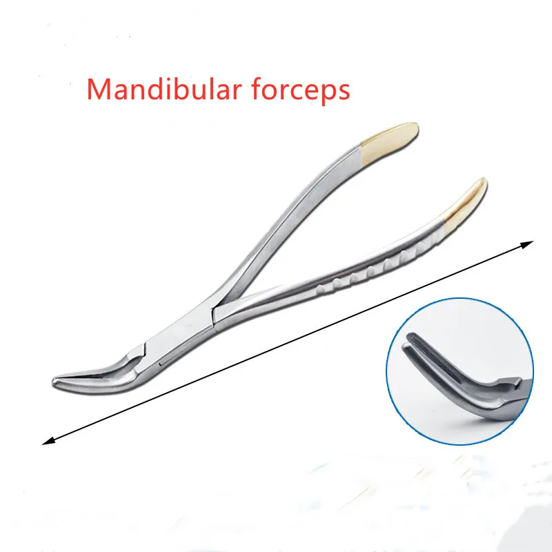 Dental Root Fragment Minimally Invasive Tooth Extraction Forcep Tooth Pliers Curved Maxillary Mandibular Teeth Dental Instrument