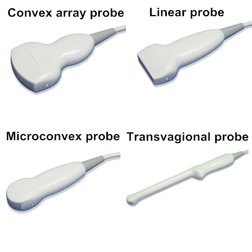 Black and White Digital Ultrasound USG Scanner Probe Only