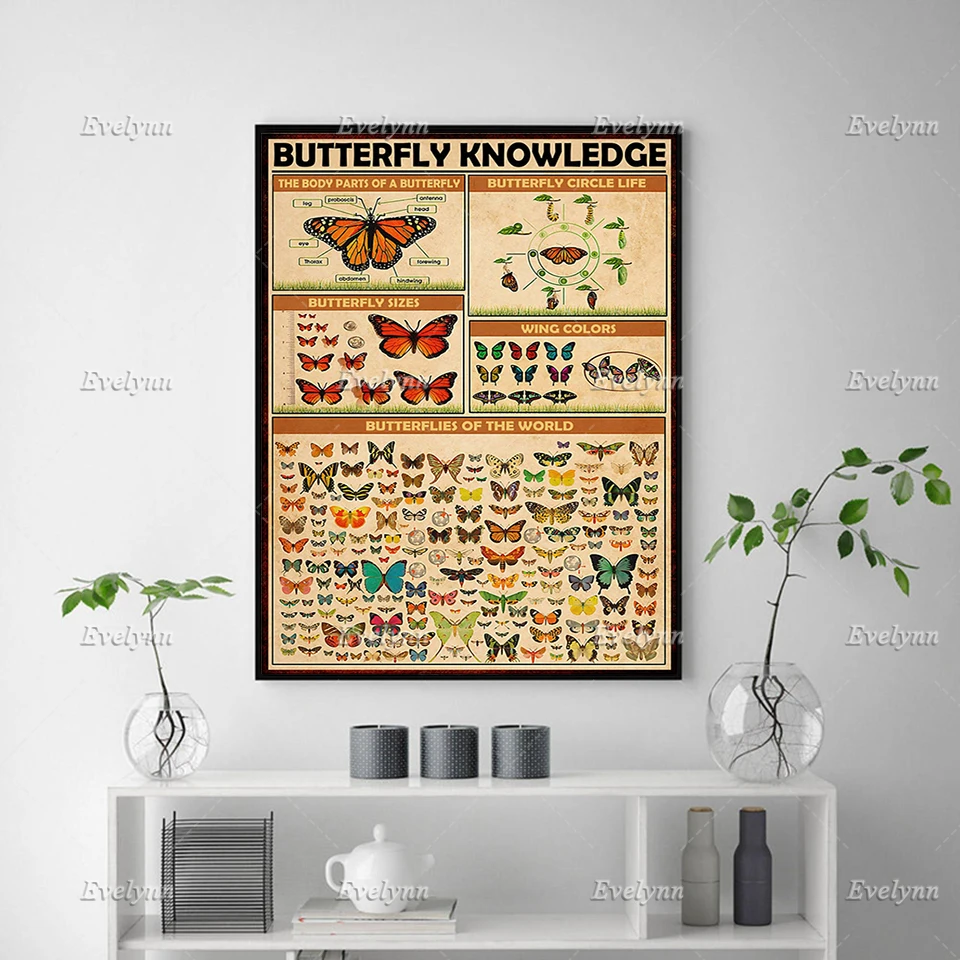 Butterfly Knowledge Poster, Butterfly Knowledge Animal Lovers, Wall Art Prints Home Decor Canvas Floating Frame Unique Gift