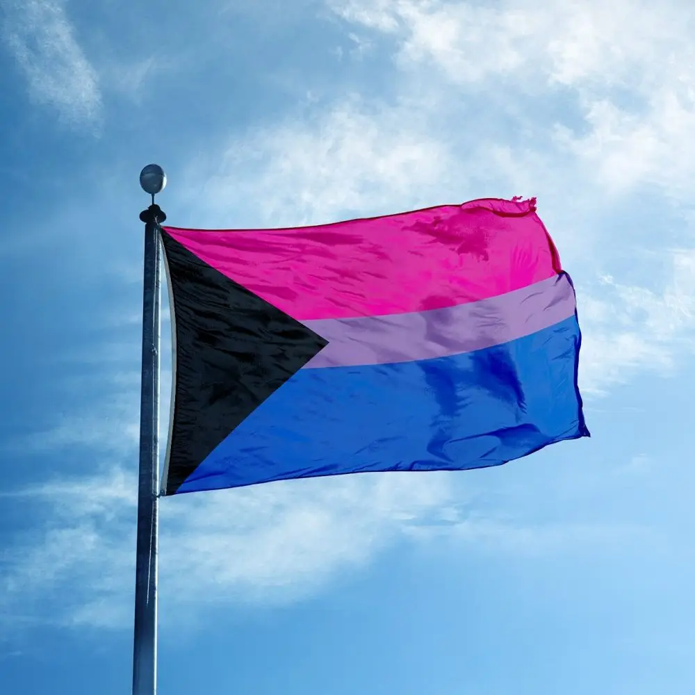 3x5 Ft Demibisexual Flag Demisexual Bisexual Gay Pride Demi Sexual Biromantic LGBT Rainbow Flags