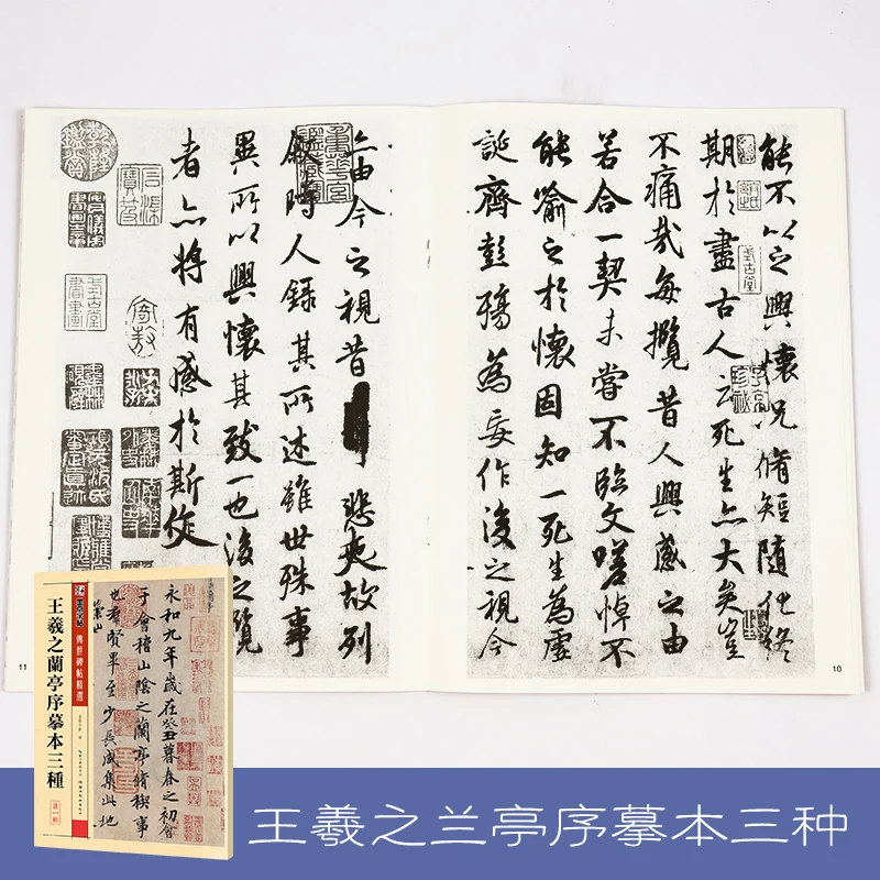 

Writing Brush Calligraphy Copybook Circulated Stone Inscription Three Kinds Wang Xizhi Lan Ting Xu Books Chinese Beginners New