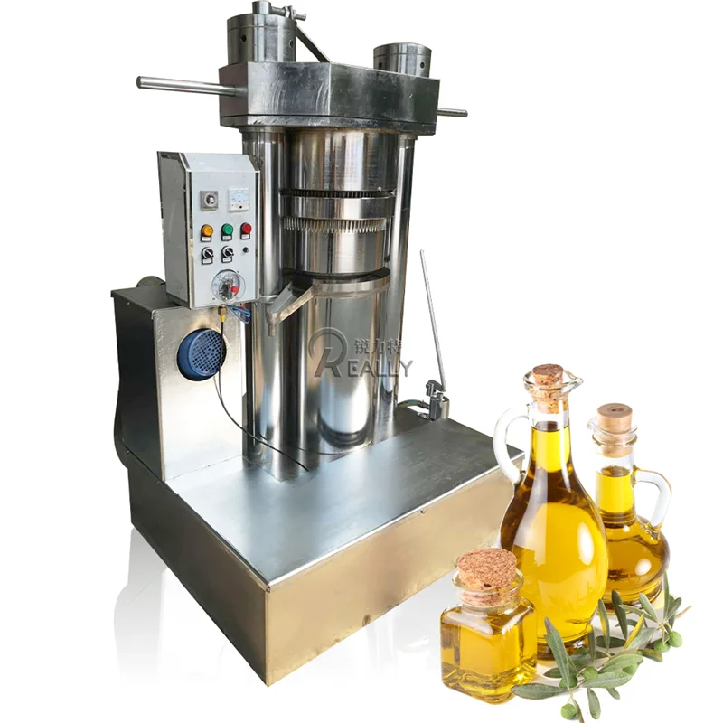 Fully Automatic Almond Oil Pressers Cold Pressing Machine for Hot Extractor Machine on Sale