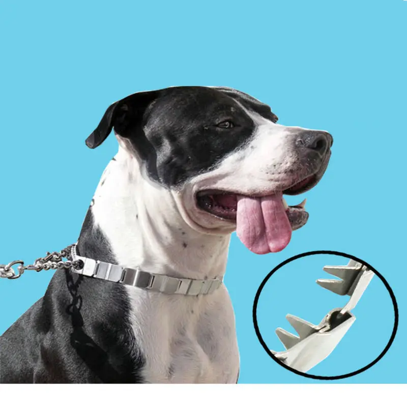 HQ DC02 30-60CM Adjustable Steel Polished Dog Training Chain Prong Collar Choke Chain Collar For Giant dogs