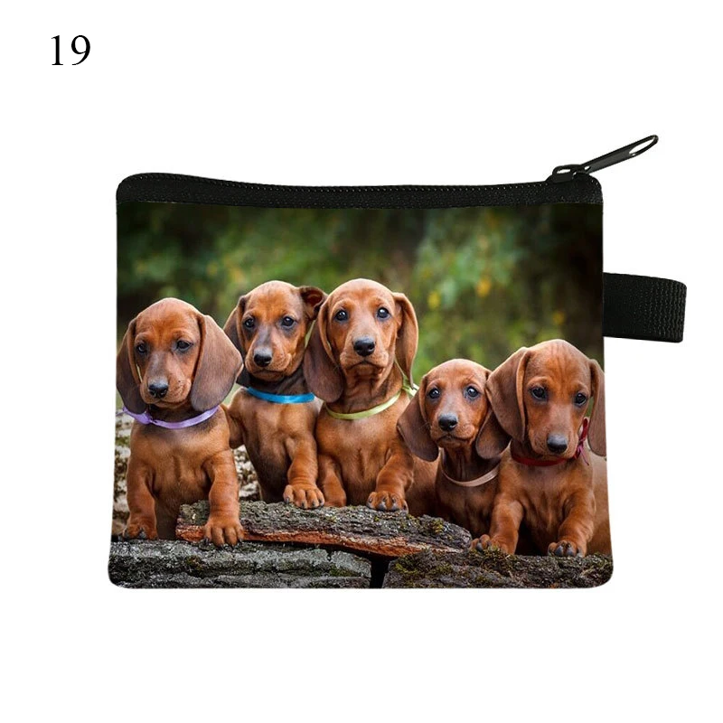 1PCS Cute Dachshund Dog/Cat Polyester Coin Purses Girls Cute Pet Animal Wallet Ladies Clutch Change Purse Female Mini Money Bag