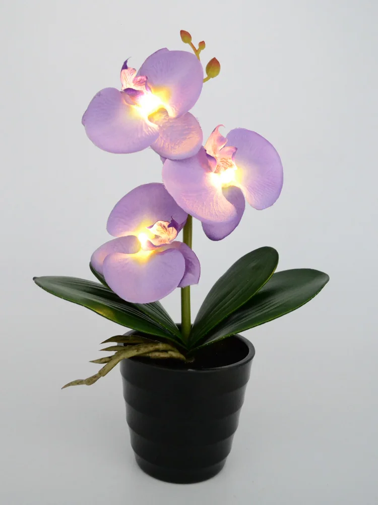 3 LED Battery Lighted Blossom Phalaenopsis orchid in pot Orchid Flower Bonsai Holiday Wedding PartyHome Decoration Birthday Gift