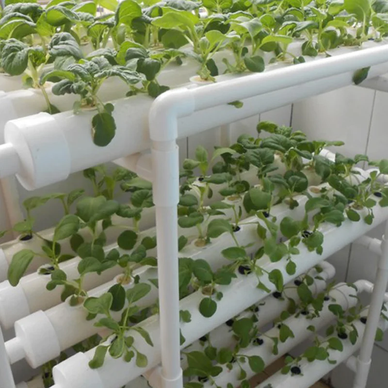 ระเบียงชั้นสามมิติผักกรอบพิเศษ Hydroponic เครื่อง Plant ไม่มีการเพาะปลูกอุปกรณ์