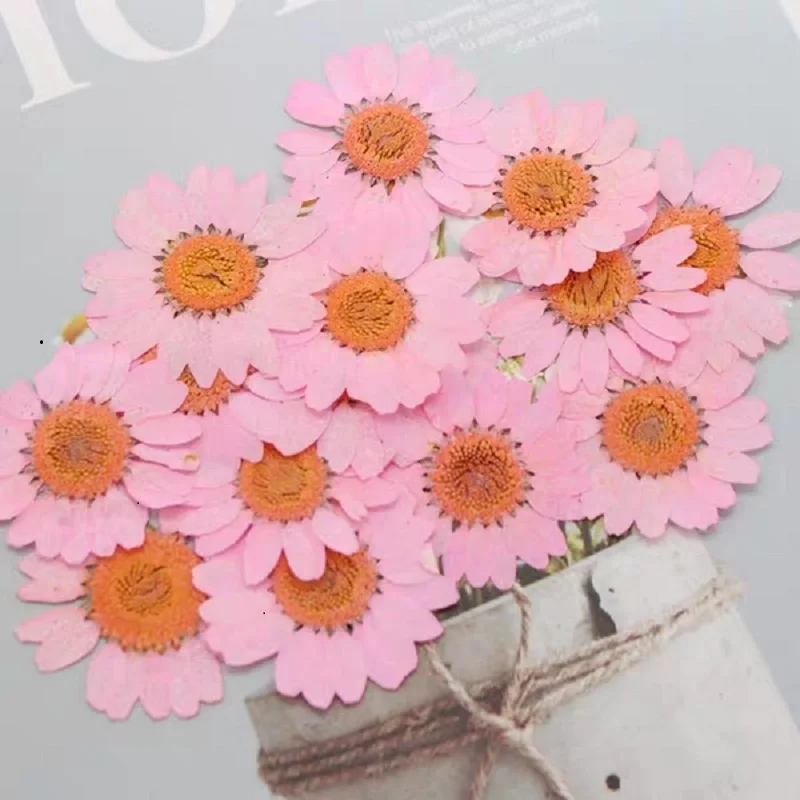 120pcs Pressed Press Dried Daisy Dry Flower Plants For Epoxy Resin Pendant Necklace Jewelry Making Craft DIY Accessories