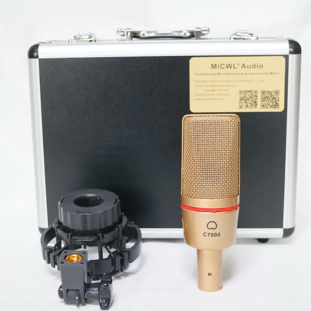 

Top C7000 Large Diaphragm Condenser Microphone 48V XLR For Stage Studio PC Live Recording with Shock Mount Flight Case