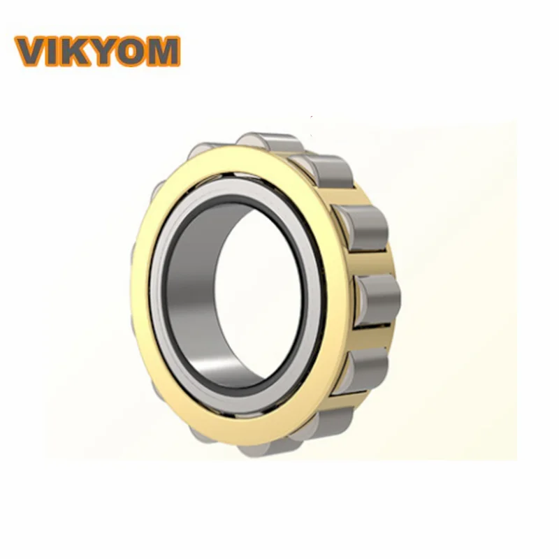 

High Precision Cylindrical Roller Bearing RN204M RN205M RN type bearing CNC Reducer Bearing