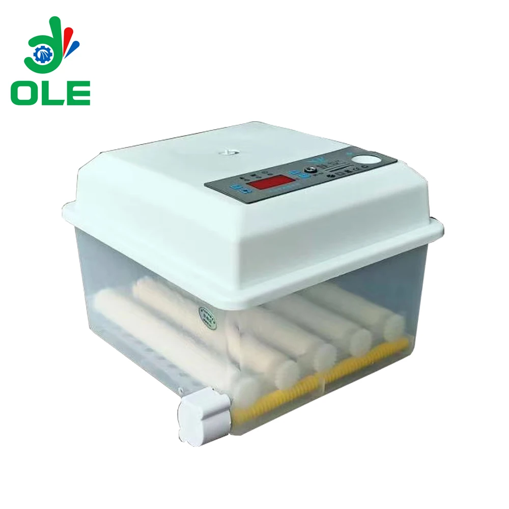 36 قطعة آلة فقس بيض صغيرة حاضنة البيض التفريخ