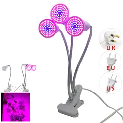 LÃĄmparas LED de 2/3 cabezales para Cultivo de plantas en invernadero, luz roja y azul para Cultivo de flores, Fitolampy Hydro Growbox