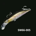 SW66-005