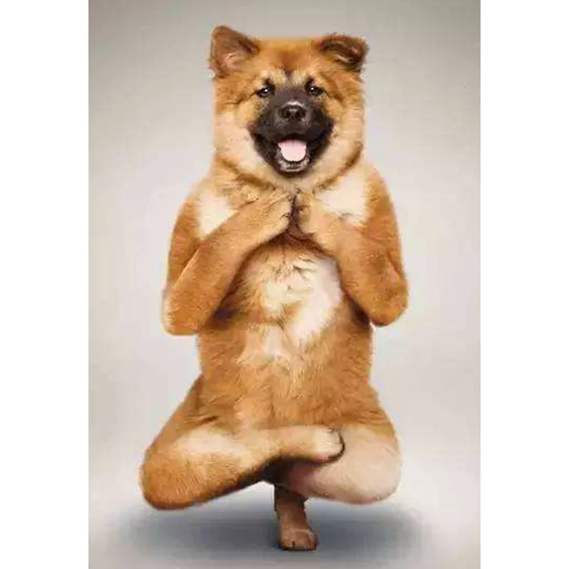 

Full Square/Round Drill 5D DIY Diamond Painting "Funny Yoga Dog" 3D Diamond Embroidery Cross Stitch Home Decor FC369