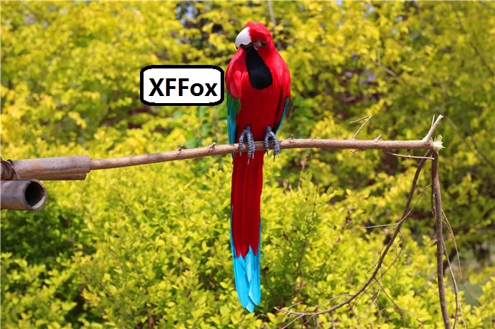 new real life turned parrot model foam&feather big red&blue parrot bird gift about 60cm xf2626