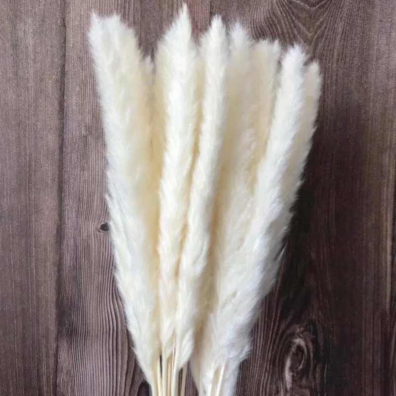 30PCS/Length 40-43CM Real Dried Natural Grass Reed Flower,Dry Small Bulrush Bouquet,Pampas Reeds,Home Decoration,Wedding Decor