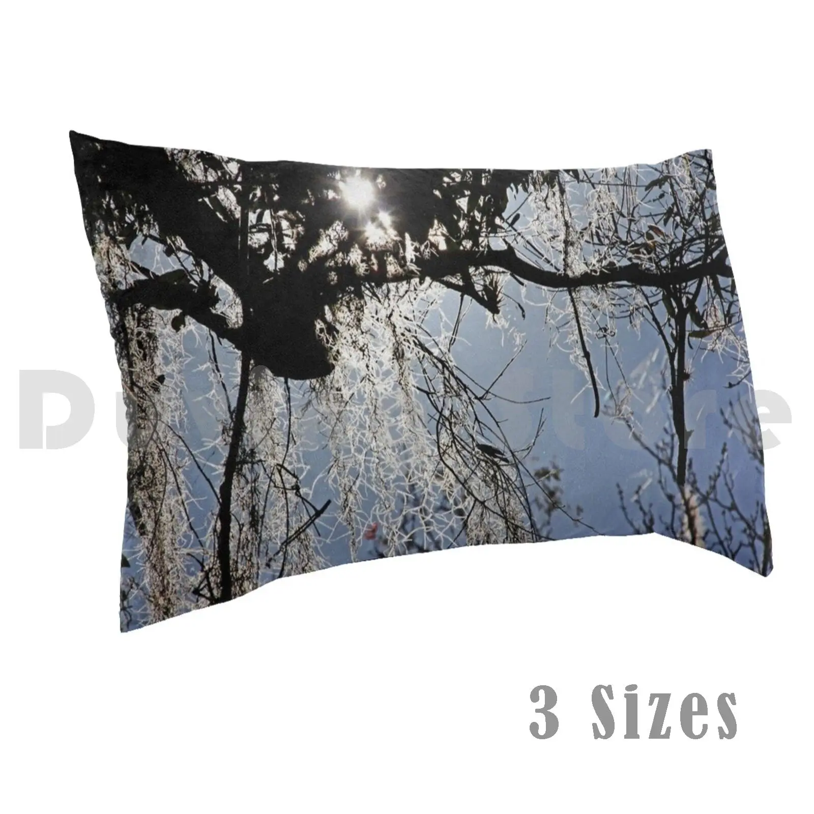 Spanish Moss Pillow Case DIY 50*70 Spanish Moss Flowering Plant Bromeliad Epiphytic Tropical Grandpas