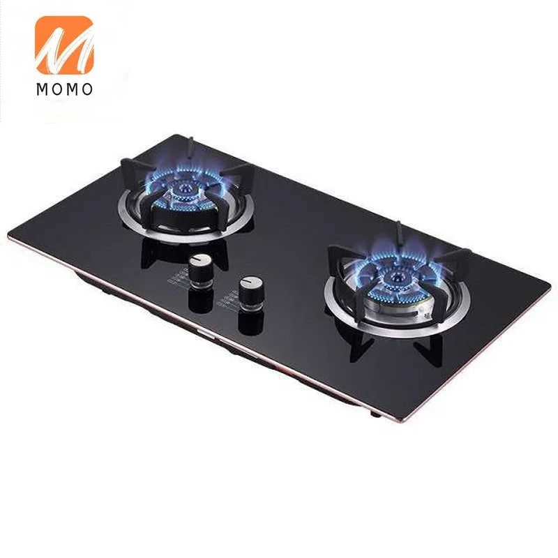 China Kitchen Gas Stove Gas Electric Combination 2 Burners Cooking Appliances