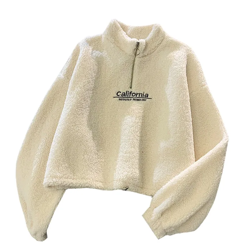 Cashmere Short High Collar Hoodies Women Thicken Loose Korean Autumn Zipper Coat Embroider California Letters Sweatshirt Femme