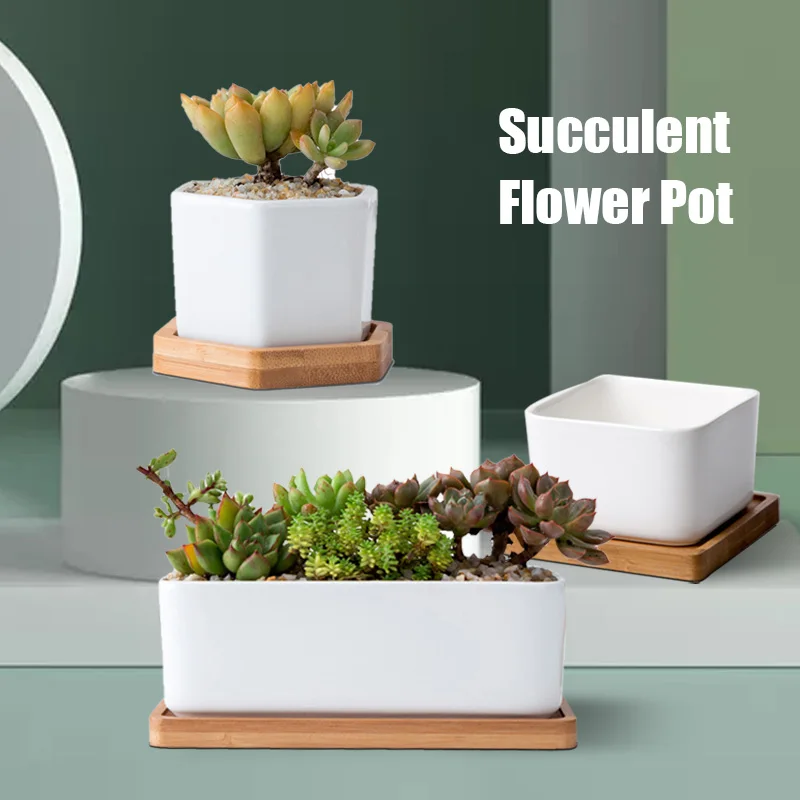 

Minimalist Simple White Creative Desktop White Ceramic Flowerpot With Bamboo Tray Succulent Plant Pot Cactus Planter Flower Pot