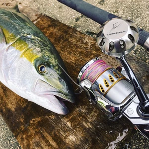 Gomexus-Botton của Crankcase Mooneliete 45mm cho Shimano, Sagarosa Stella, SW, Stradic FJ 2006-2009, tay cầm thực sự 12 Dòng đánh cá chính Shimano Technium - №6