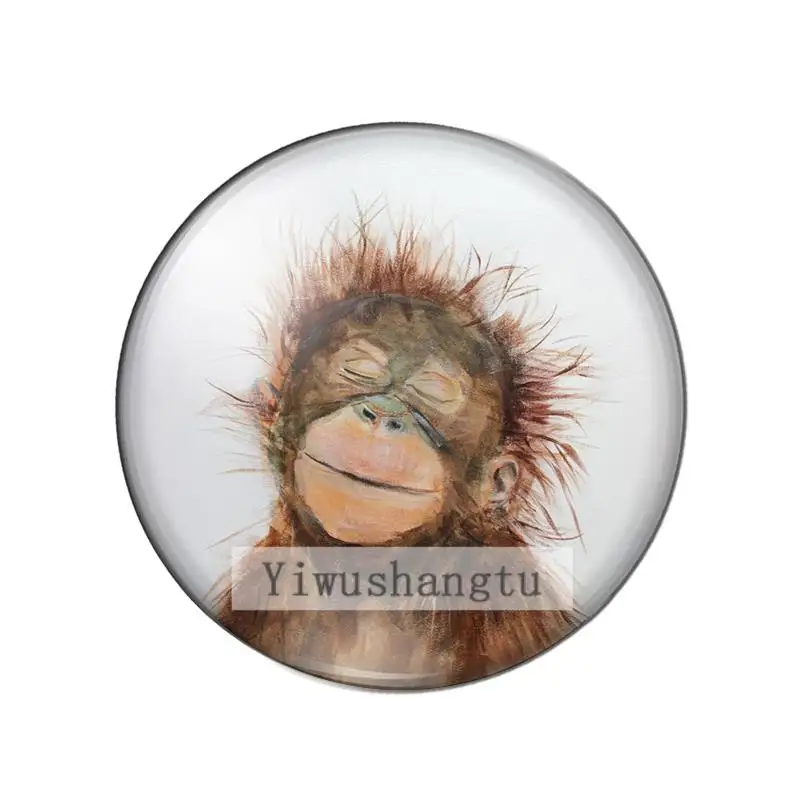 Cute monkey Nifty and lively happy 12mm/18mm/20mm/25mm Round photo glass cabochon demo flat back Making findings ZB0543