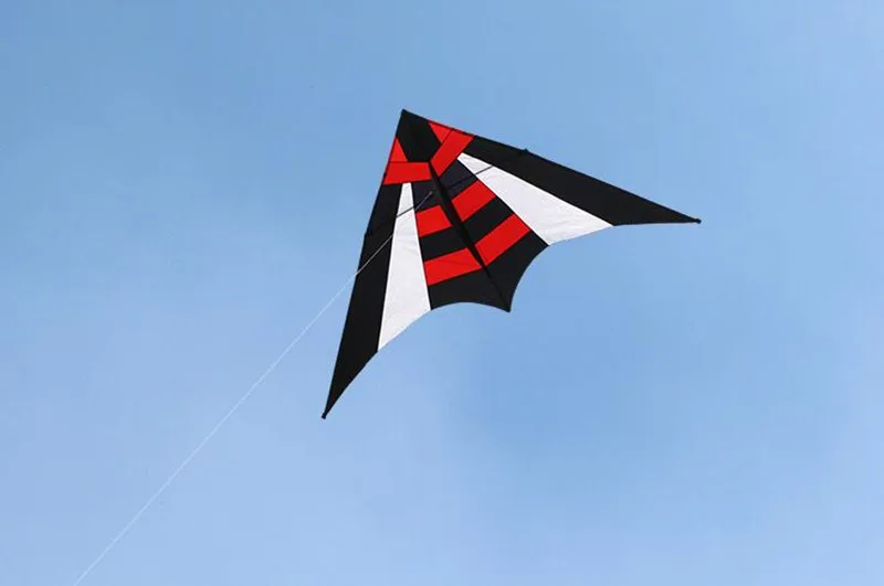 free shipping large delta kites reel outdoor toys for kids bee kites nylon ripstop albatross kite factory professional kites