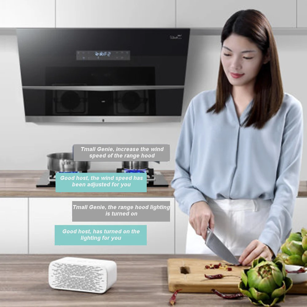 Phạm Vi Hút Mùi Nhà Bếp Dầu Hút Mặt Loại Hút Nhỏ Thông Minh Tự Động Làm Sạch Tự Động Đóng Mở Cửa