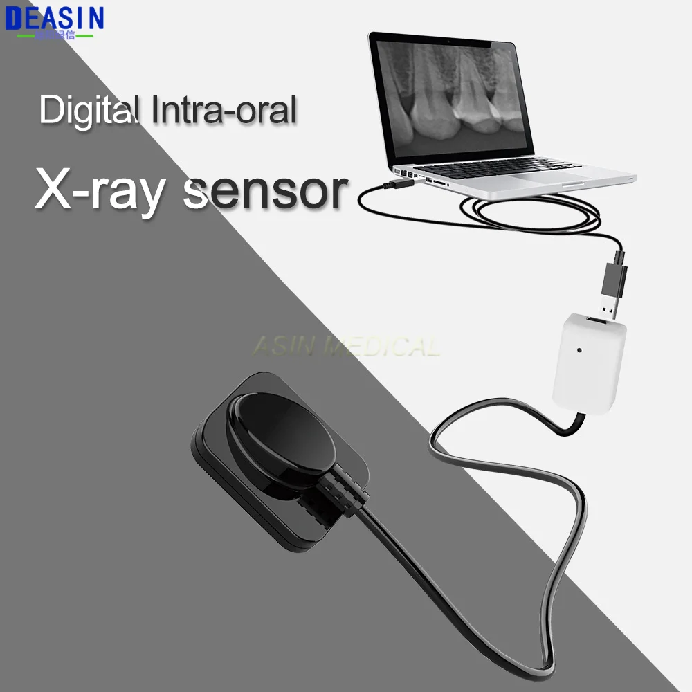 

Hot Sale Dental Digital Intra-Oral X-ray Sensor USB Dental Dr X Ray Sensor Image RVG x-ray Sensor Mslfp12